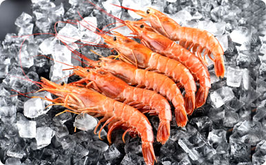 冷冻冷藏食品经营许可证