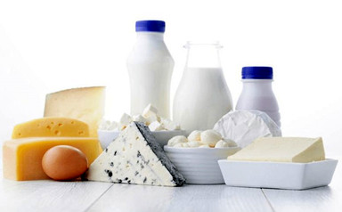 乳制品食品经营许可证